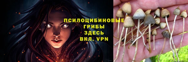 герыч Переславль-Залесский