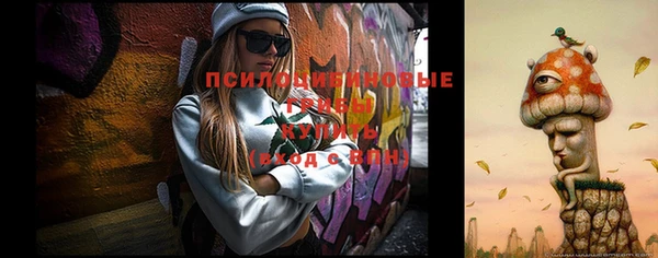 герыч Переславль-Залесский