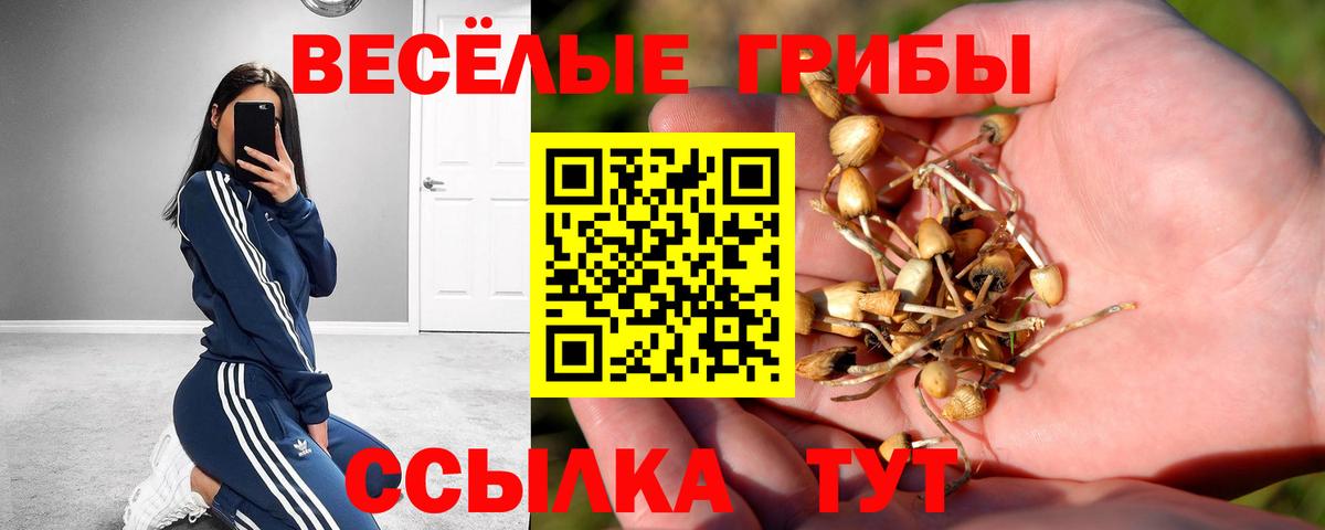 Рославль  Галлюциногенные грибы GOLDEN TEACHER  Вход с VPN 